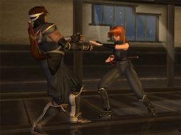 生死格斗演员,演员阵容揭秘，探寻幕后英雄风采