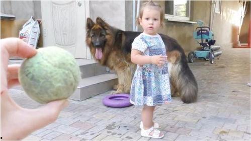 大狼狗网红几个孩子,孩子们的快乐成长故事